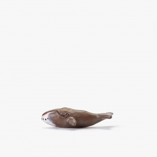 Ballena boreal