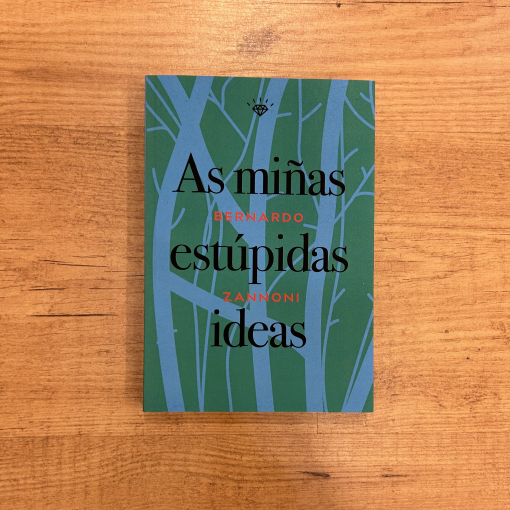 As miñas estúpidas ideas